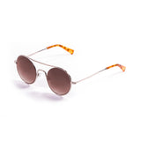 Shiny silver with gradient brown lens