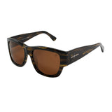 Brown stainless frame with brown lens