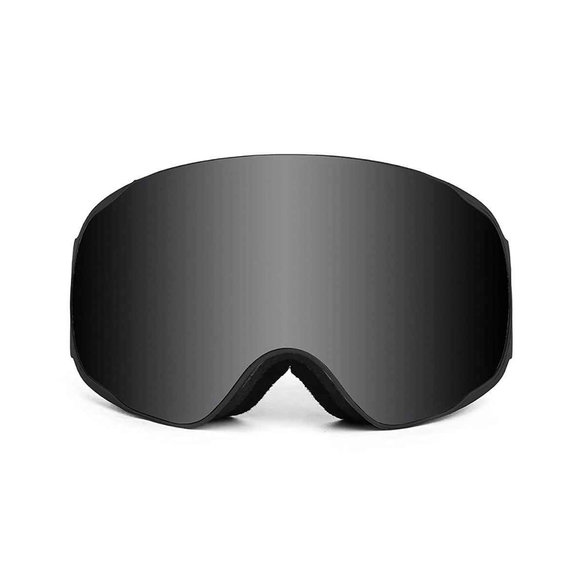 Lenoir Andorra Ski Goggles