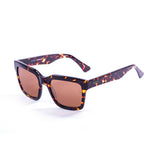 Frame demy brown dark / brown lens